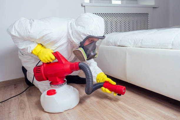 Best Emergency Pest Control  in Jerome, IL