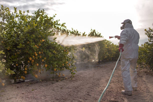 Best Emergency Pest Control  in Jerome, IL
